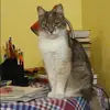 Отзыв от Альбина Зайцева